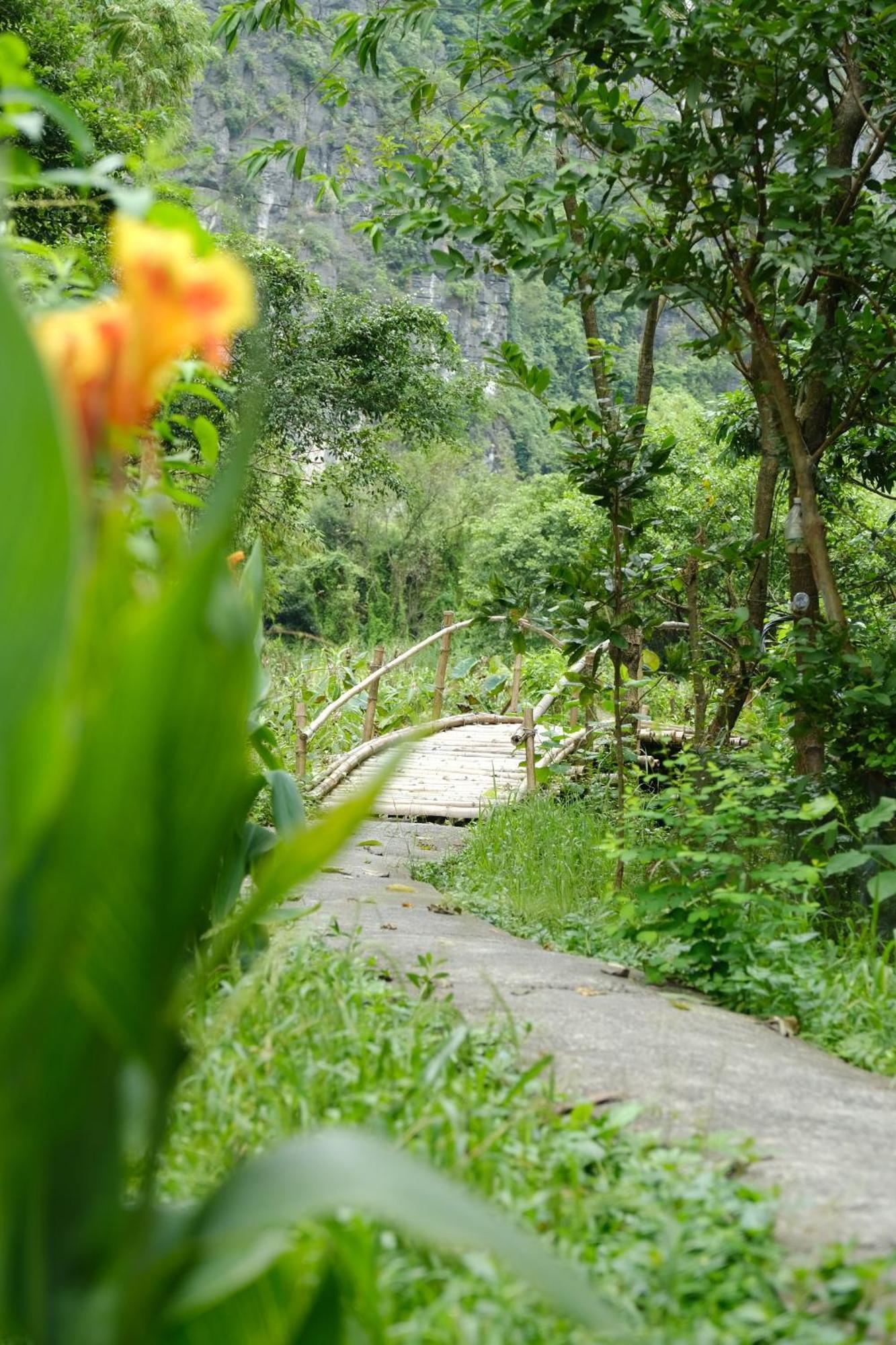 Chez Beo Homestay Ninh Binh Dış mekan fotoğraf