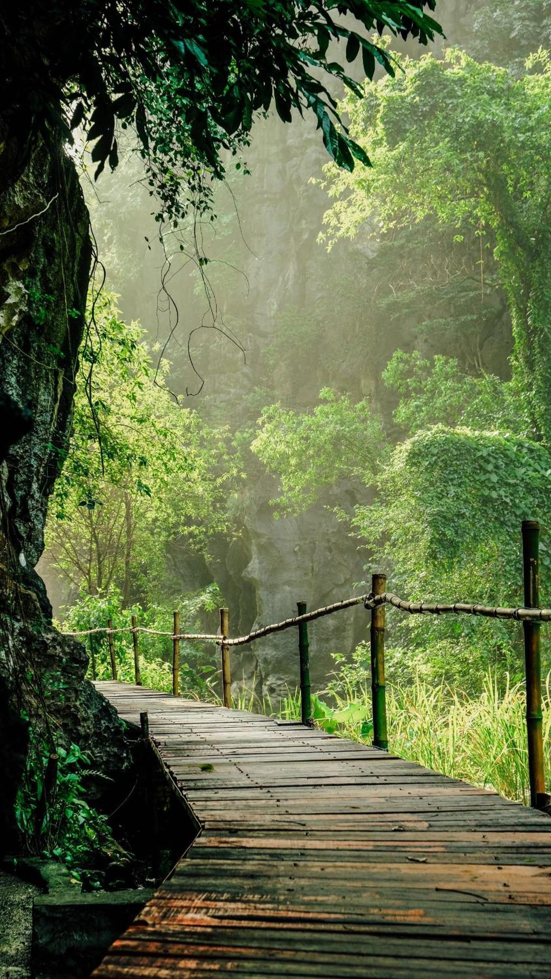 Chez Beo Homestay Ninh Binh Dış mekan fotoğraf