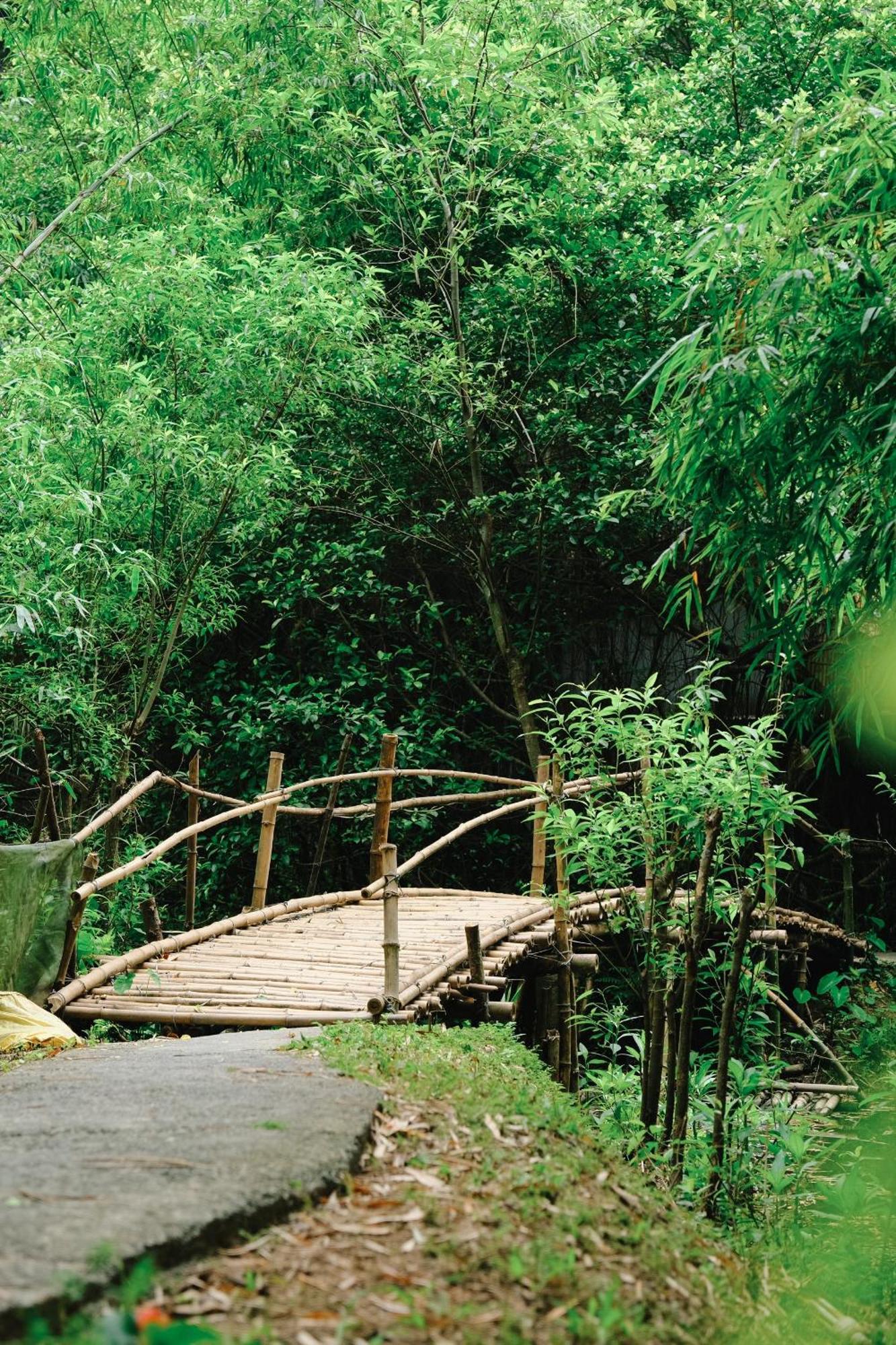 Chez Beo Homestay Ninh Binh Dış mekan fotoğraf