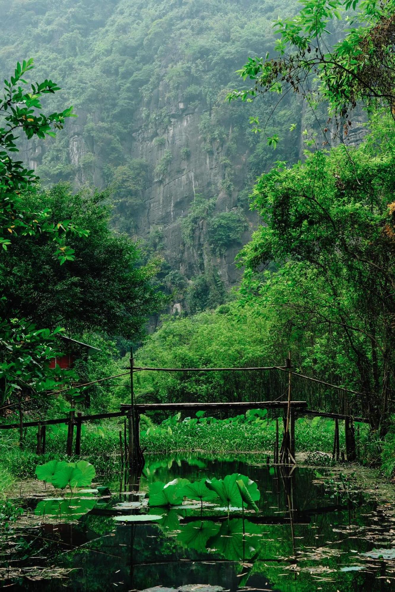 Chez Beo Homestay Ninh Binh Dış mekan fotoğraf