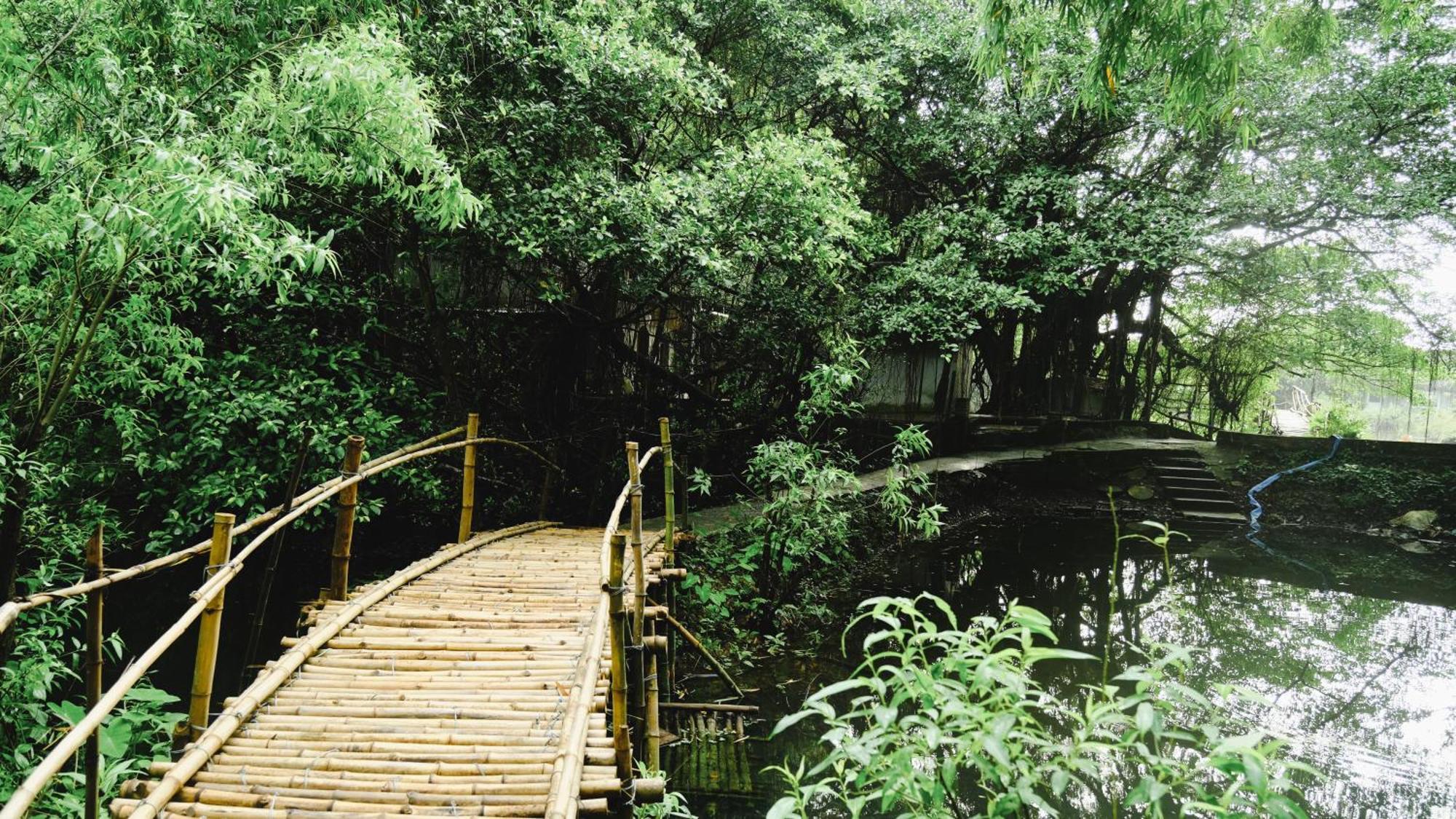 Chez Beo Homestay Ninh Binh Dış mekan fotoğraf